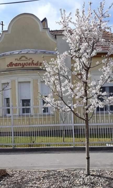 Aranyoshaz-Vendeghaz Apartment Budapest Bagian luar foto