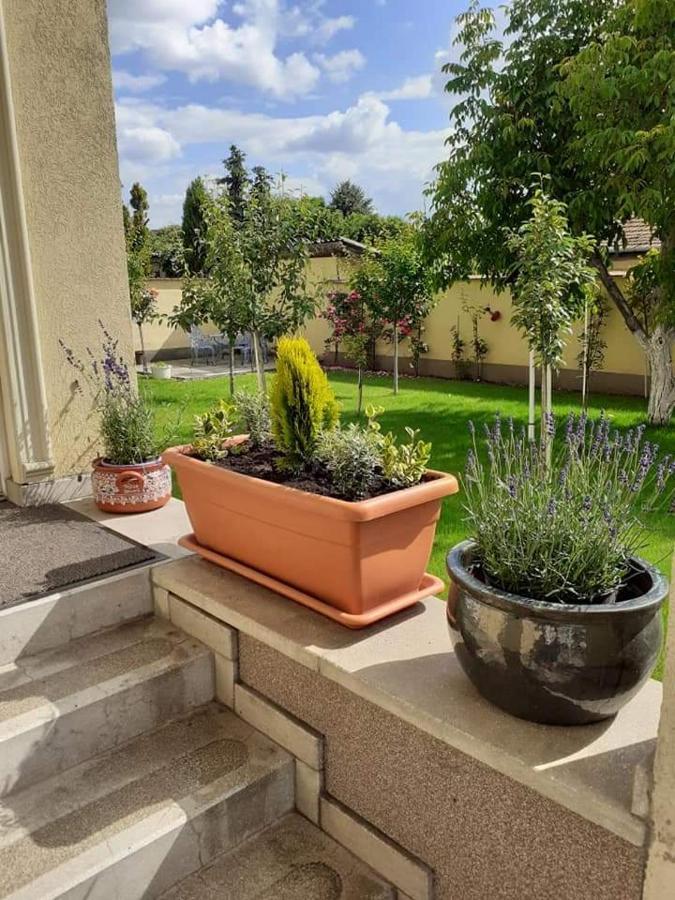 Aranyoshaz-Vendeghaz Apartment Budapest Bagian luar foto